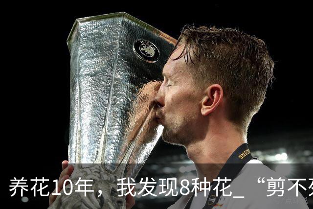 养花10年，我发现8种花 “剪不死”反而会越长越旺，比施肥都管用