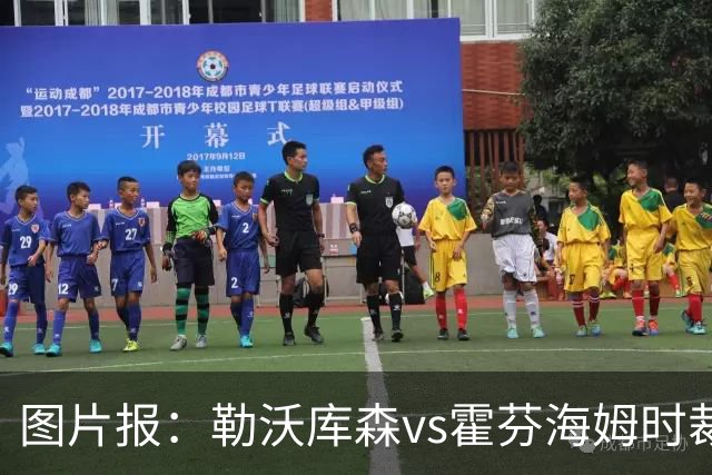 图片报：勒沃库森vs霍芬海姆时裁判、迪亚比和巴代均受伤离场