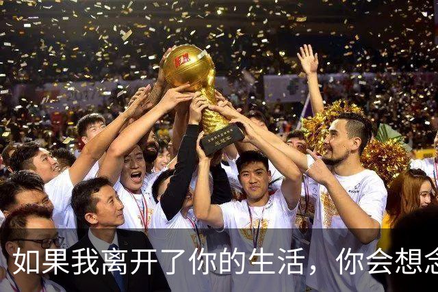 如果我离开了你的生活，你会想念我吗