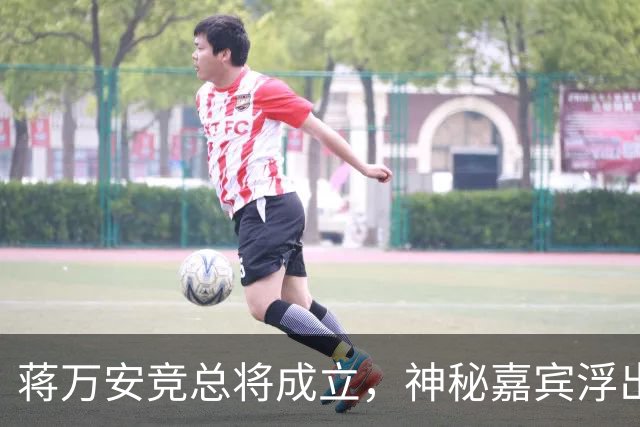 蒋万安竞总将成立，神秘嘉宾浮出水面？赵少康又专访绿营候选人