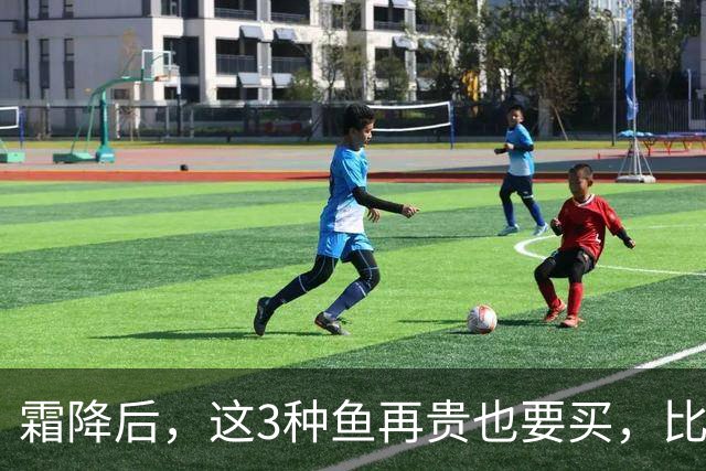 霜降后，这3种鱼再贵也要买，比鲫鱼鲜，比带鱼有营养，要多吃